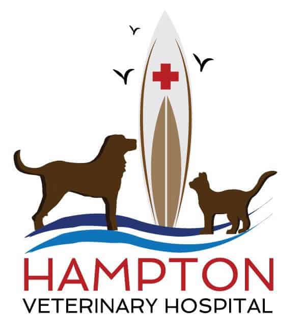 Home | Hampton Veterinary Hospital
